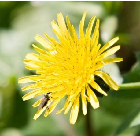 OurGreatWellness.com